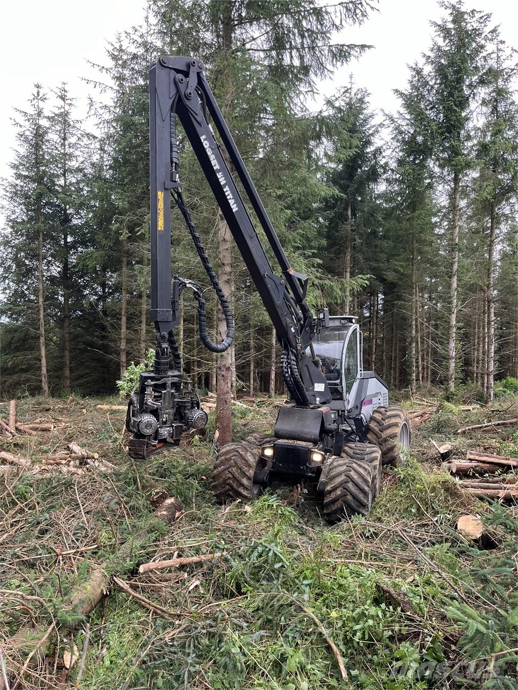 Logset 5 H Harversteri