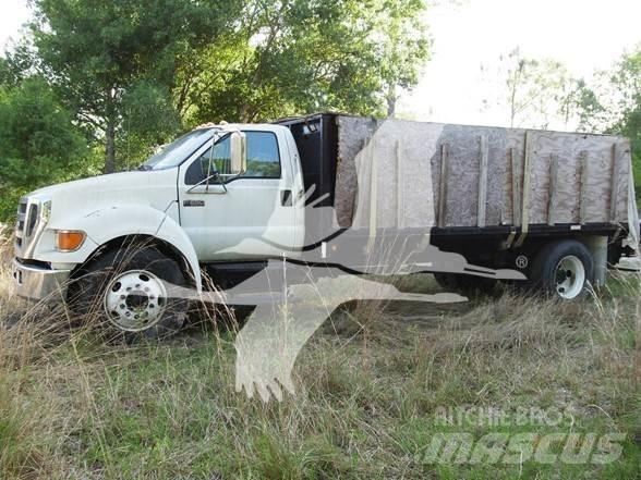 Ford F650 SD Kamioni sa otvorenim sandukom