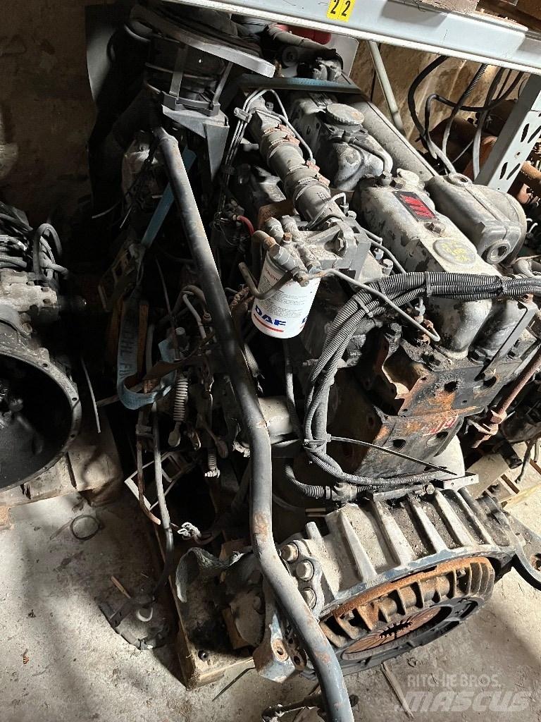 DAF WS295L Kargo motori