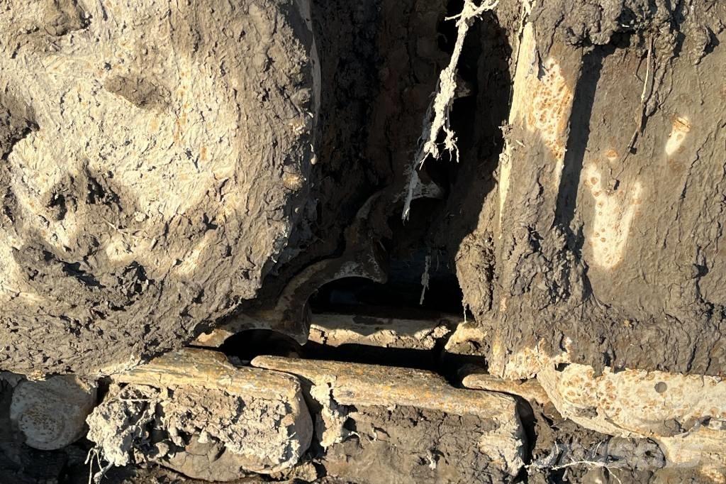 CASE CX 235 C Bageri guseničari