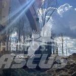 CAT 349EL Bageri guseničari