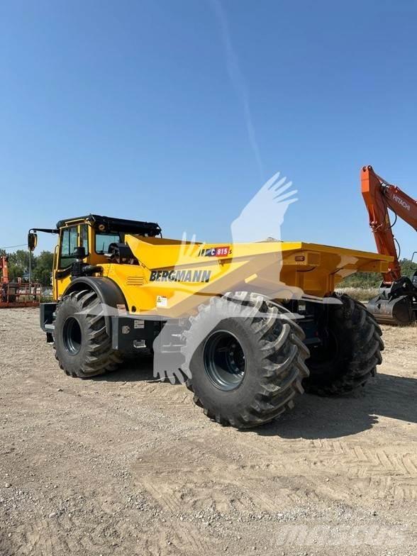 Bergmann C815S Zglobni damperi