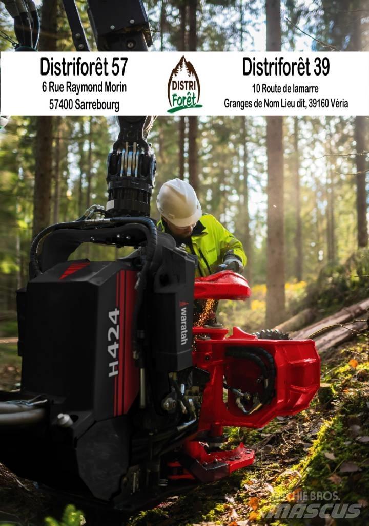 Waratah H216 Harversteri