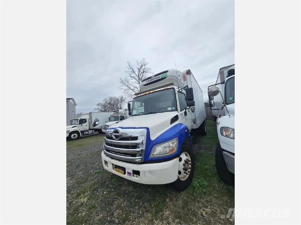 Hino 338 Kamioni hladnjače