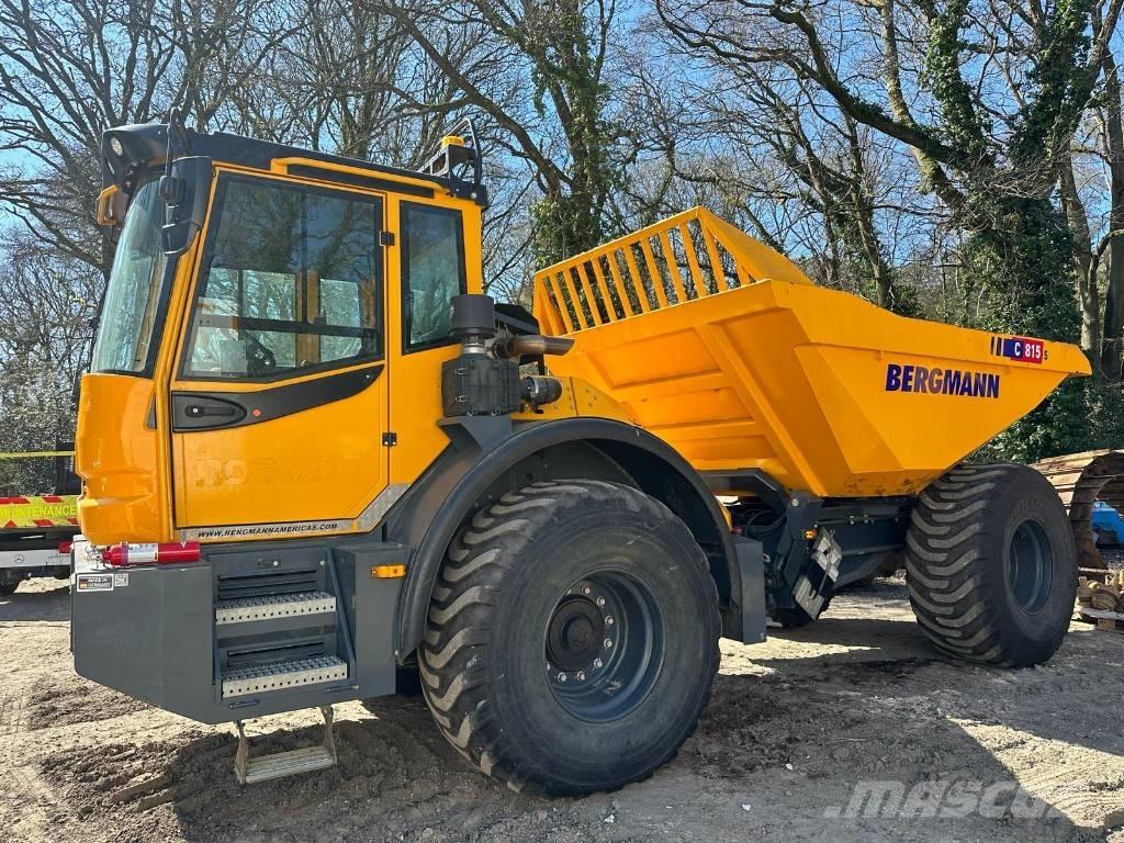 Bergmann C815S Zglobni damperi