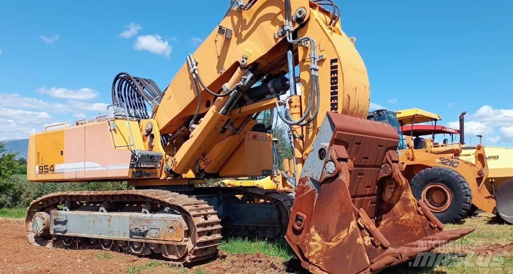 Liebherr R 954 C Bageri guseničari