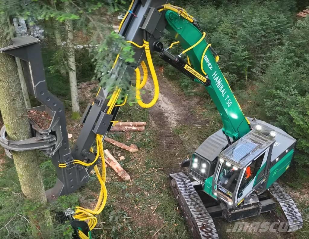 Impex Hannibal T50 Harversteri