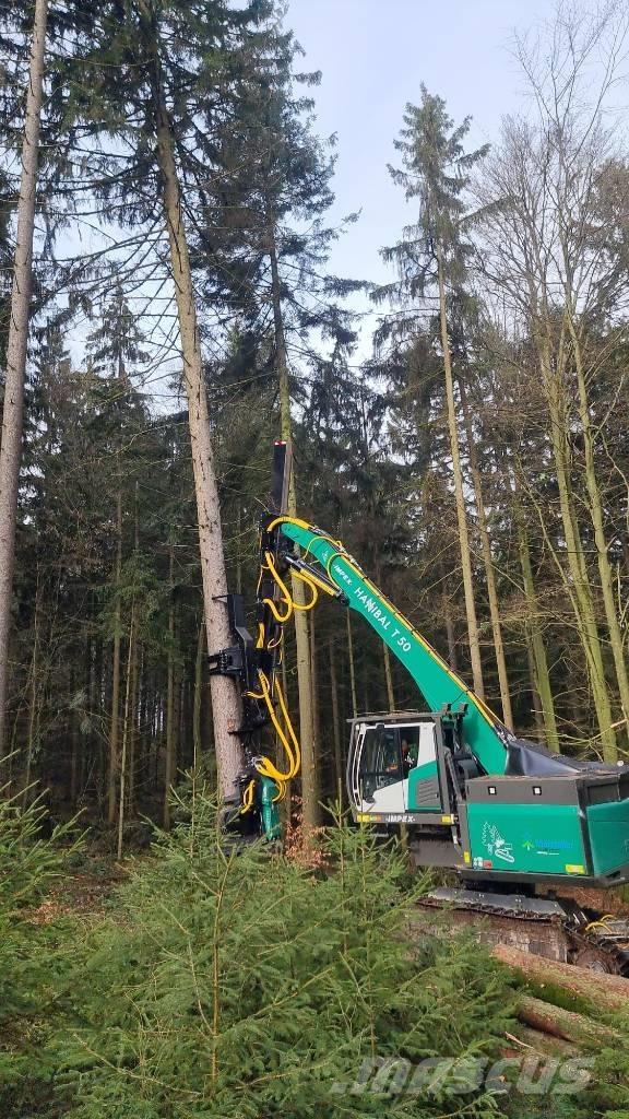 Impex Hannibal T50 Harversteri