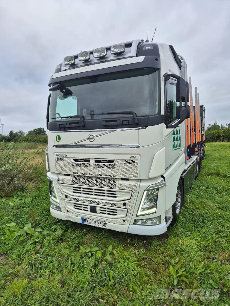 Volvo FH 460 6x4 Kamioni za drva Šticari