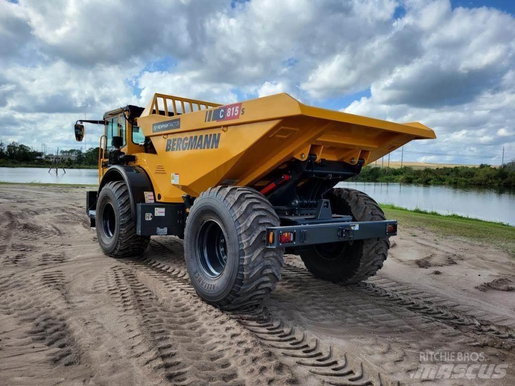 Bergmann C815S Zglobni damperi