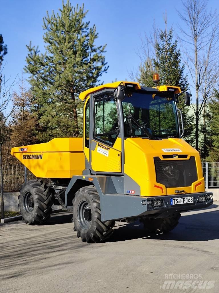 Bergmann C 807 S Zglobni damperi