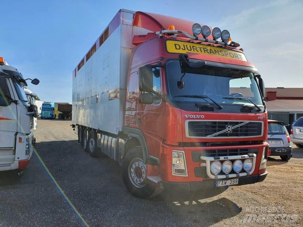 Volvo FM12 Kamioni za prevoz životinja