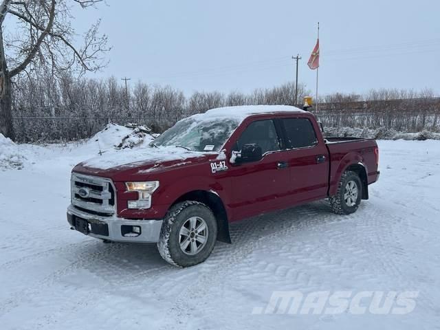 Ford F-150 Ostalo