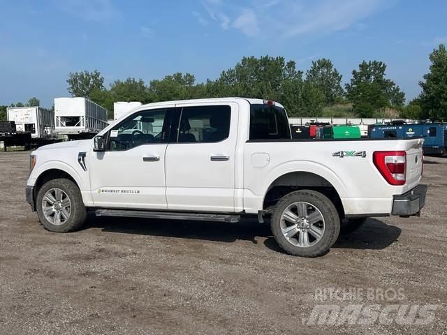 Ford F-150 Ostalo