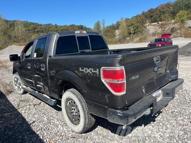 Ford F-150 Pik up kamioni