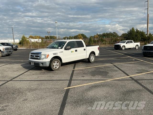 Ford F-150 Pik up kamioni