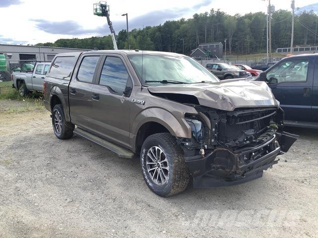 Ford F-150 XL Pik up kamioni