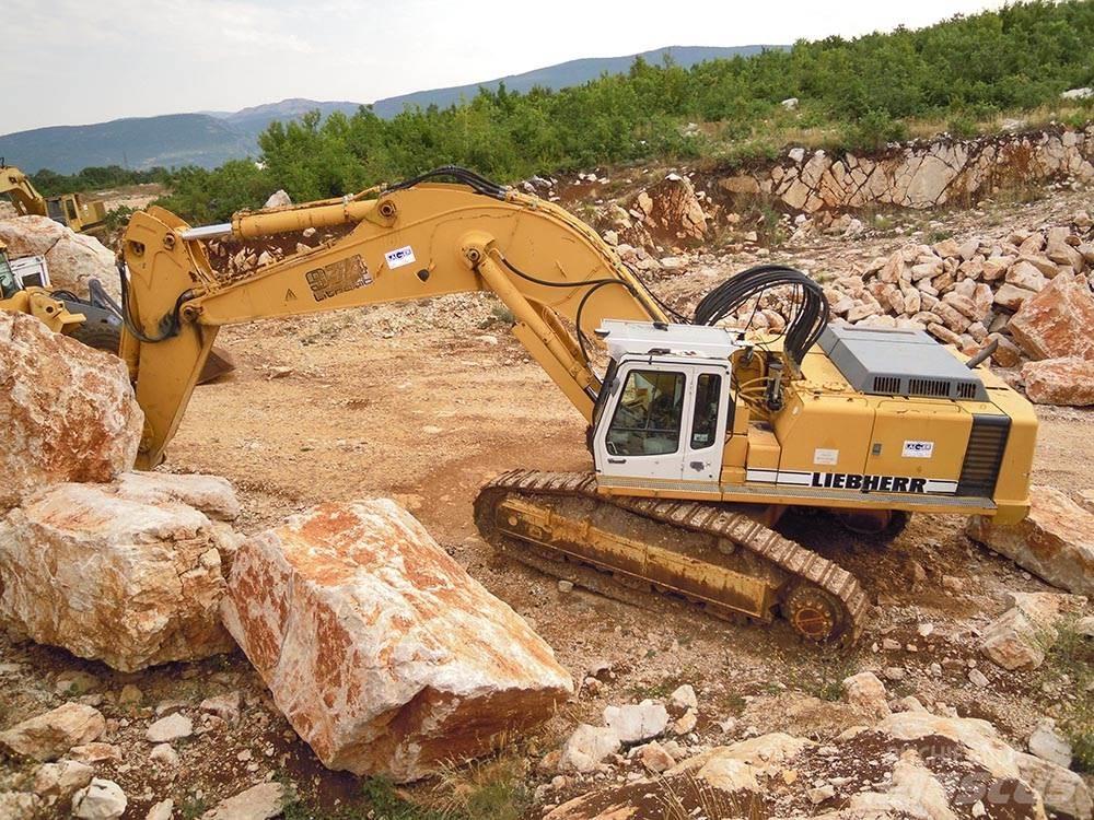 Liebherr R974BHD Bageri guseničari