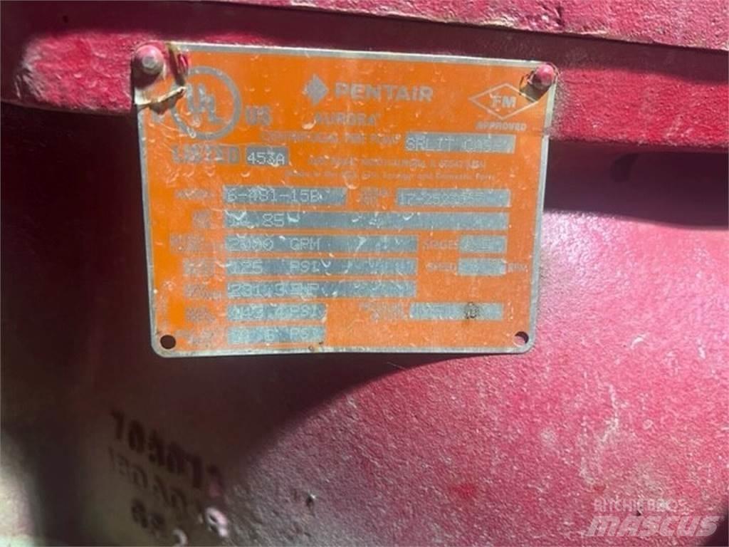  PENTAIR 6-481-15B Kargo motori