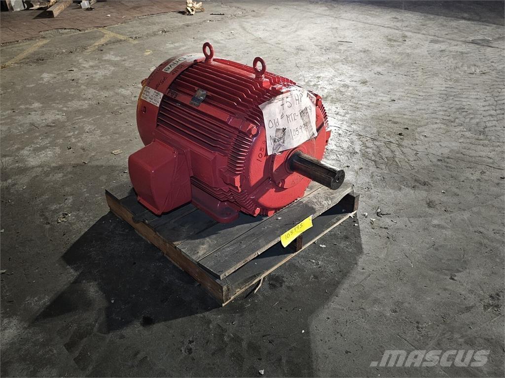 Westinghouse HSB Industrijski motori