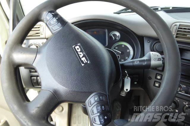 DAF CF 75.310 Kamioni za podizanje kablova