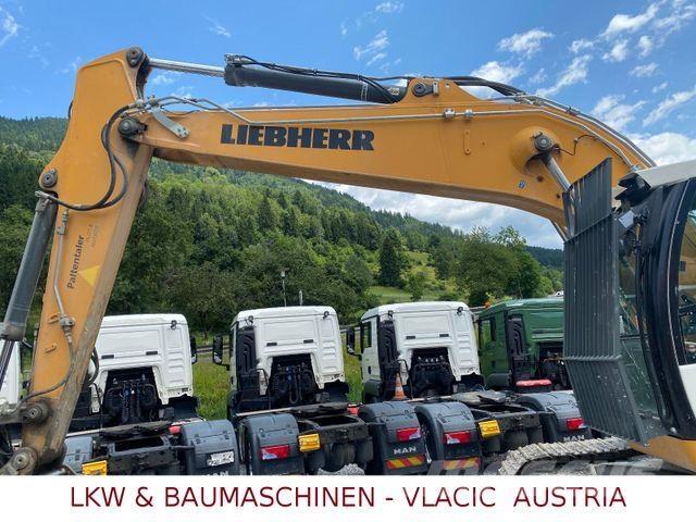 Liebherr R 924 LC Bageri guseničari