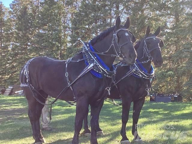  Percheron Team Ostalo za građevinarstvo