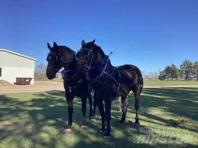  Percheron Team Ostalo za građevinarstvo