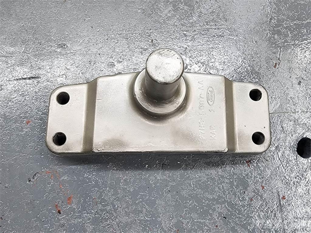 Ford  Kargo motori