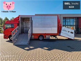 MAN TGL 8.220 4x2 BL / 1 Stock / Seitenviehladerampe