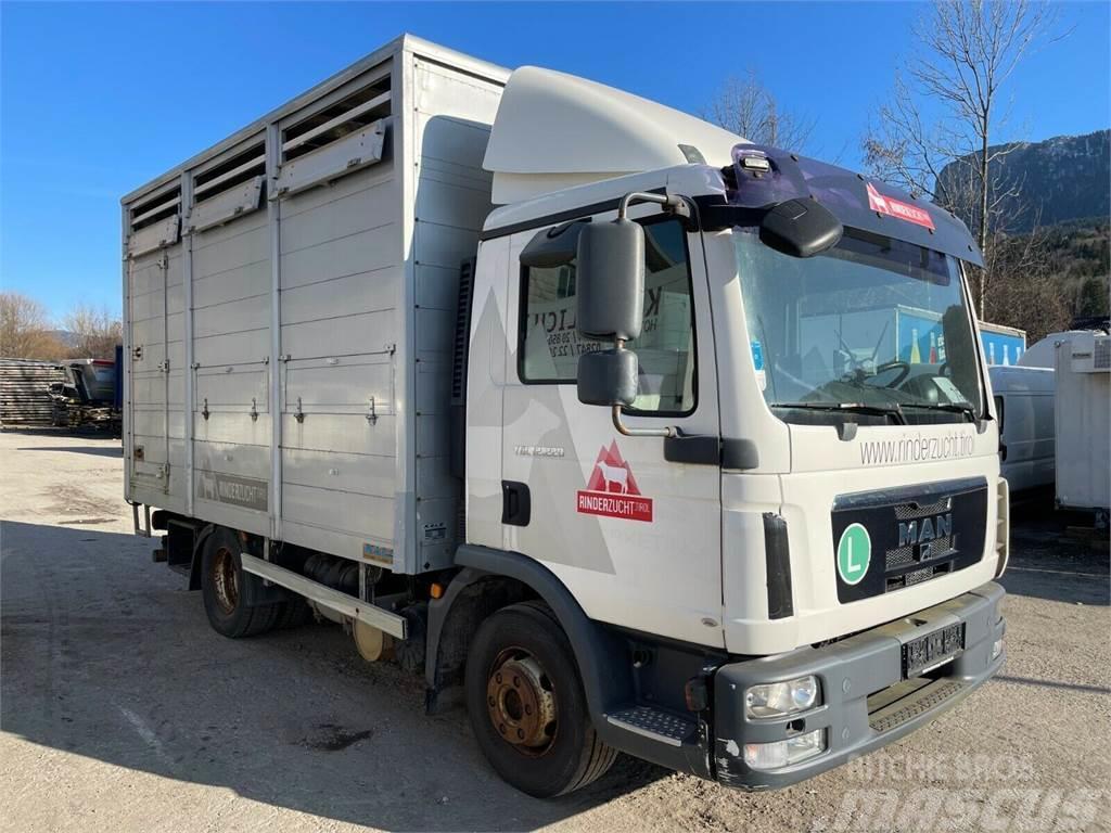 MAN TGL 12.220 Animal transport trucks