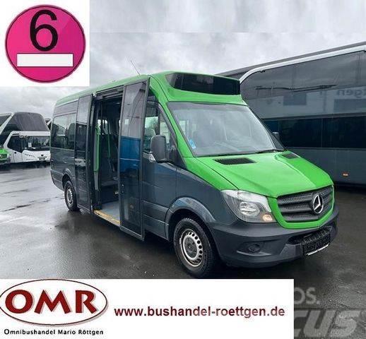Mercedes-Benz Sprinter 314 Mobility / 316 / 514 / 516 / Rampe Mini autobusi